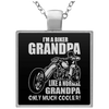 Biker Grandpa Like A Normal Grandpa Only Muc